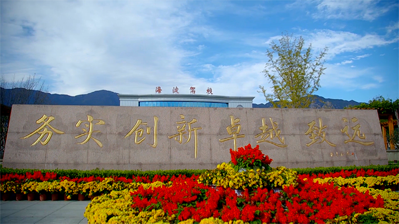 案例截图 